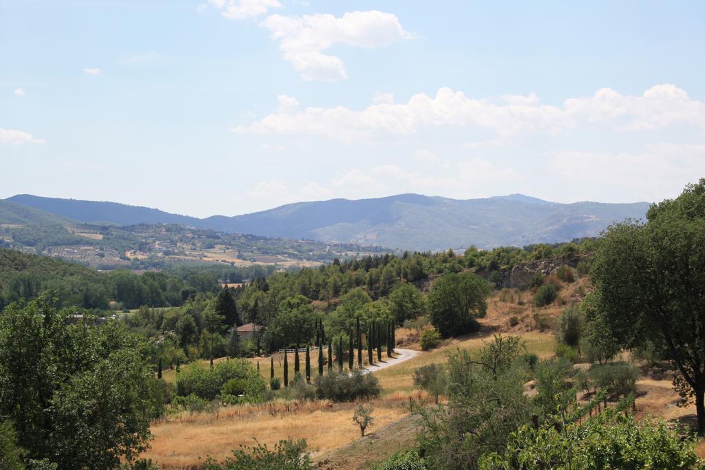 Un Petit Paradis Castiglione Della Valle Экстерьер фото